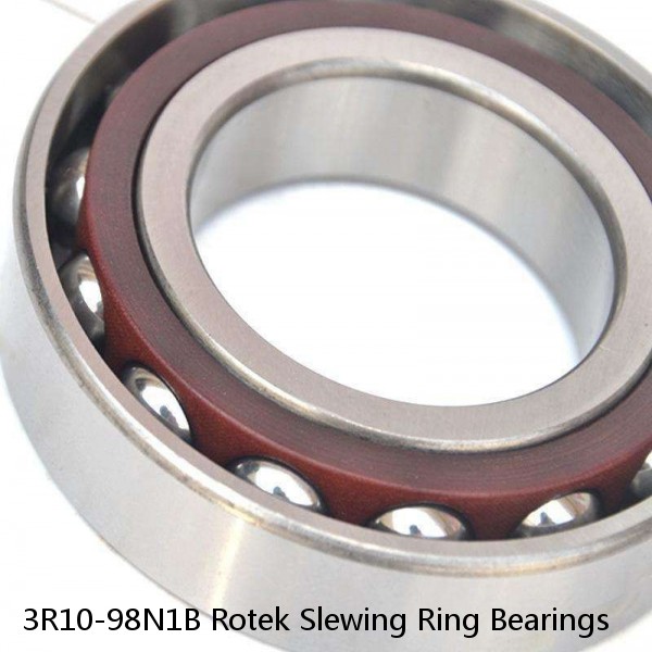 3R10-98N1B Rotek Slewing Ring Bearings