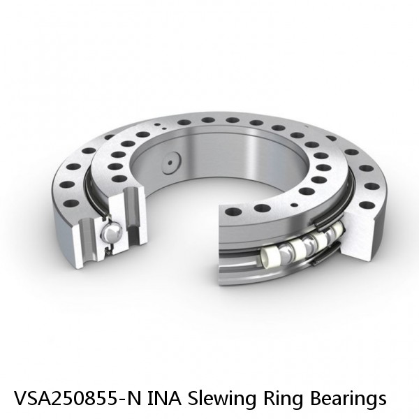 VSA250855-N INA Slewing Ring Bearings