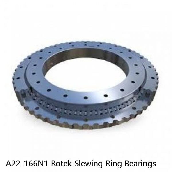 A22-166N1 Rotek Slewing Ring Bearings #1 small image