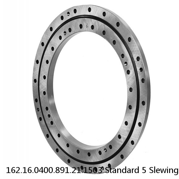 162.16.0400.891.21.1503 Standard 5 Slewing Ring Bearings #1 small image