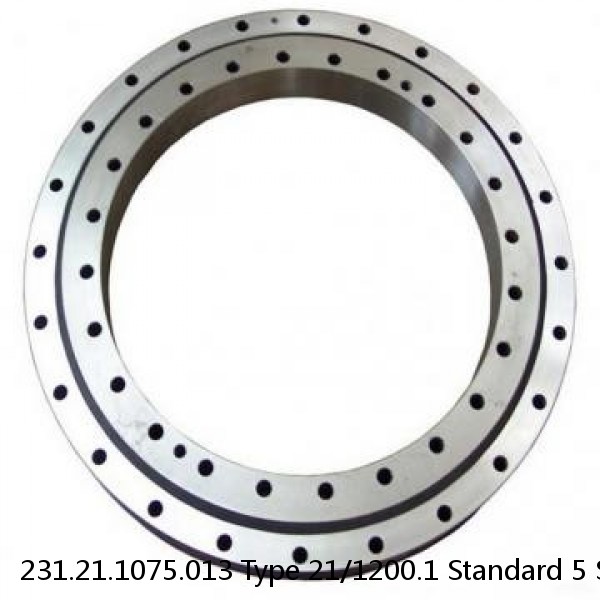 231.21.1075.013 Type 21/1200.1 Standard 5 Slewing Ring Bearings #1 small image