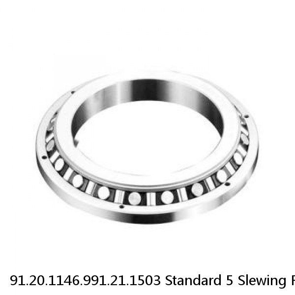 91.20.1146.991.21.1503 Standard 5 Slewing Ring Bearings