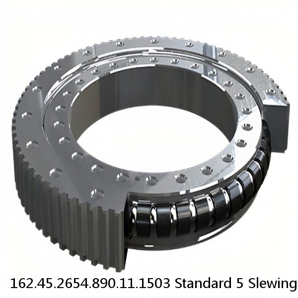 162.45.2654.890.11.1503 Standard 5 Slewing Ring Bearings #1 small image