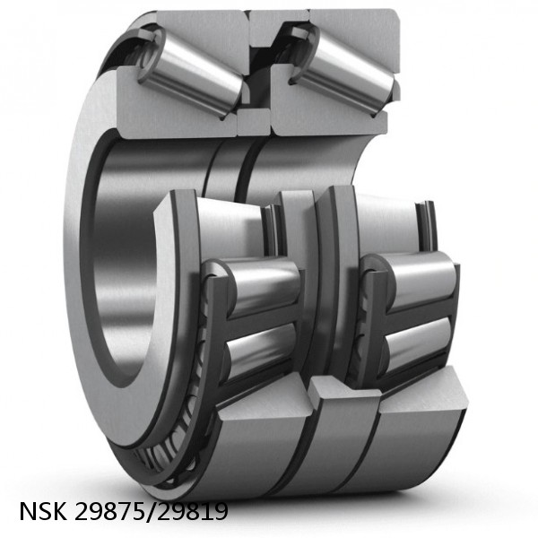 29875/29819 NSK CYLINDRICAL ROLLER BEARING #1 small image
