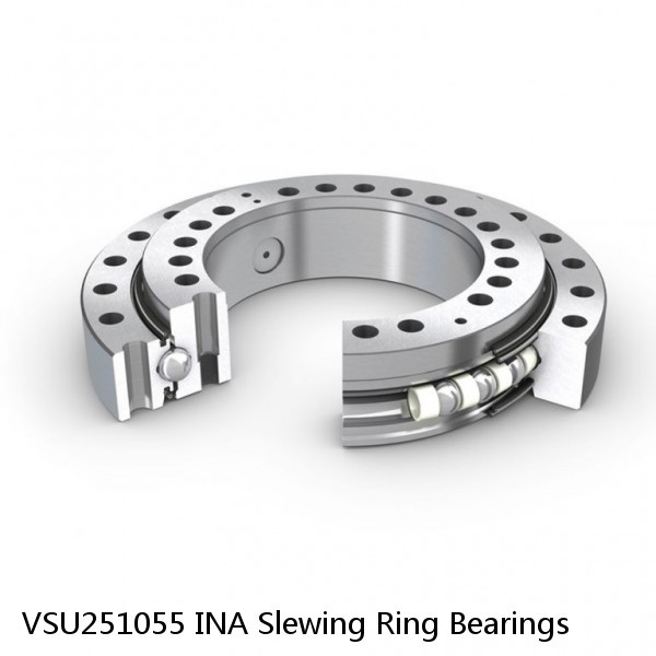 VSU251055 INA Slewing Ring Bearings #1 image