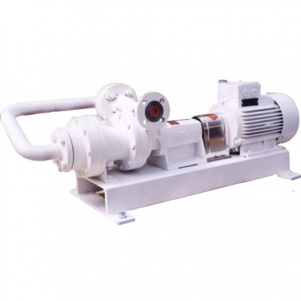 DAIKIN RP15A1-15-30RC Rotor Pump #1 image