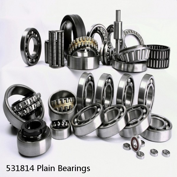 531814 Plain Bearings #1 image