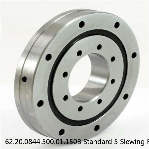 62.20.0844.500.01.1503 Standard 5 Slewing Ring Bearings #1 image