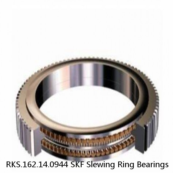 RKS.162.14.0944 SKF Slewing Ring Bearings #1 image