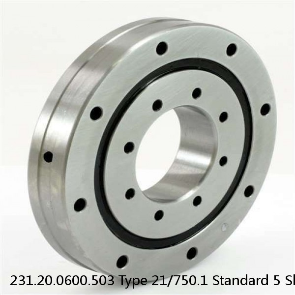 231.20.0600.503 Type 21/750.1 Standard 5 Slewing Ring Bearings #1 image