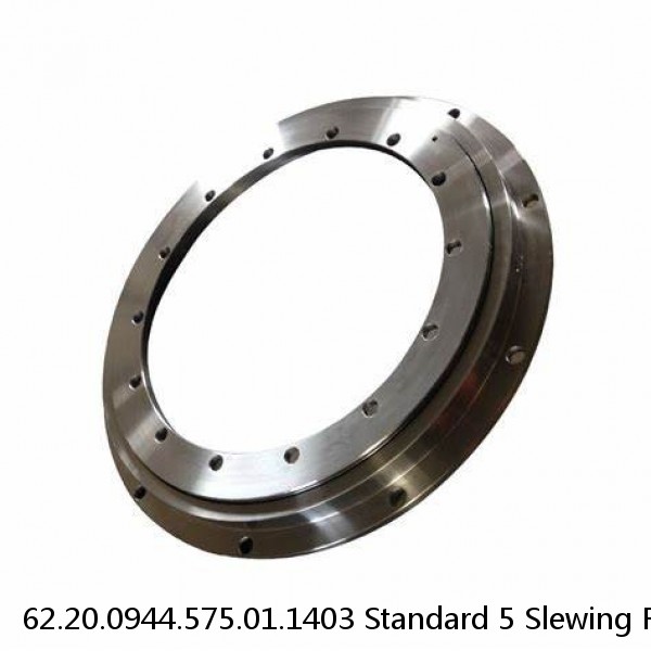 62.20.0944.575.01.1403 Standard 5 Slewing Ring Bearings #1 image