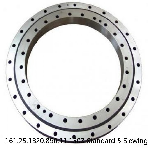 161.25.1320.890.11.1503 Standard 5 Slewing Ring Bearings #1 image