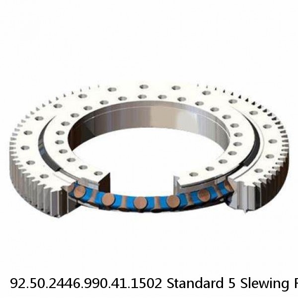 92.50.2446.990.41.1502 Standard 5 Slewing Ring Bearings #1 image